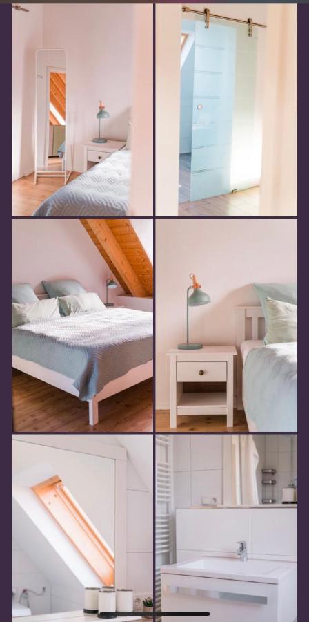 Gruene Pause Apartman Freinsheim Kültér fotó